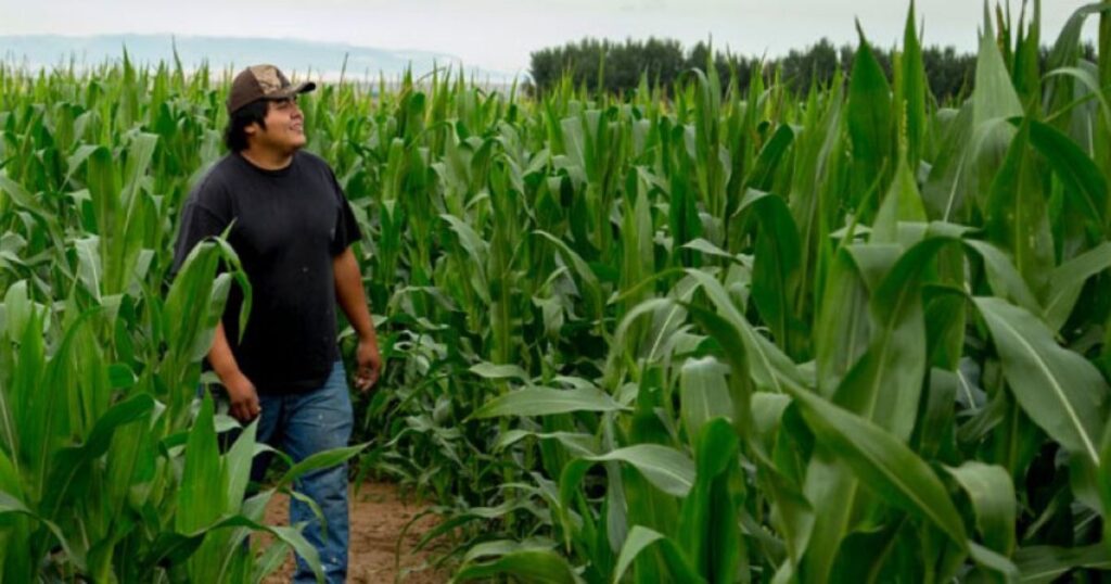 Who Is the Largest Farmer in America