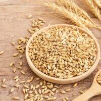 Benefits of Consuming Whole Grains