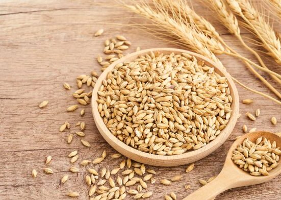 Benefits of Consuming Whole Grains