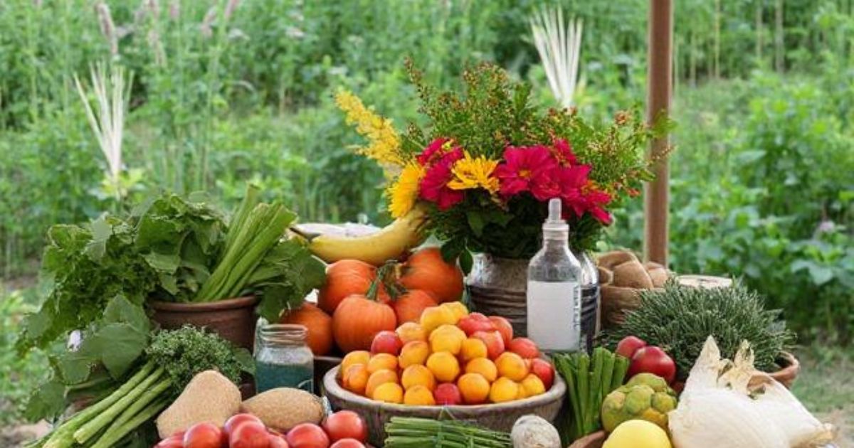 Harvest To Home A Farm To Table Journey