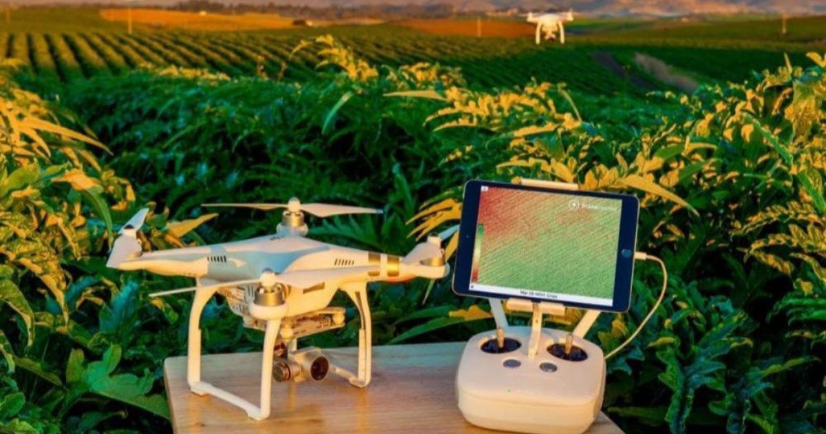Drone Technology In Agriculture: A Game Changer For Agriculture ...