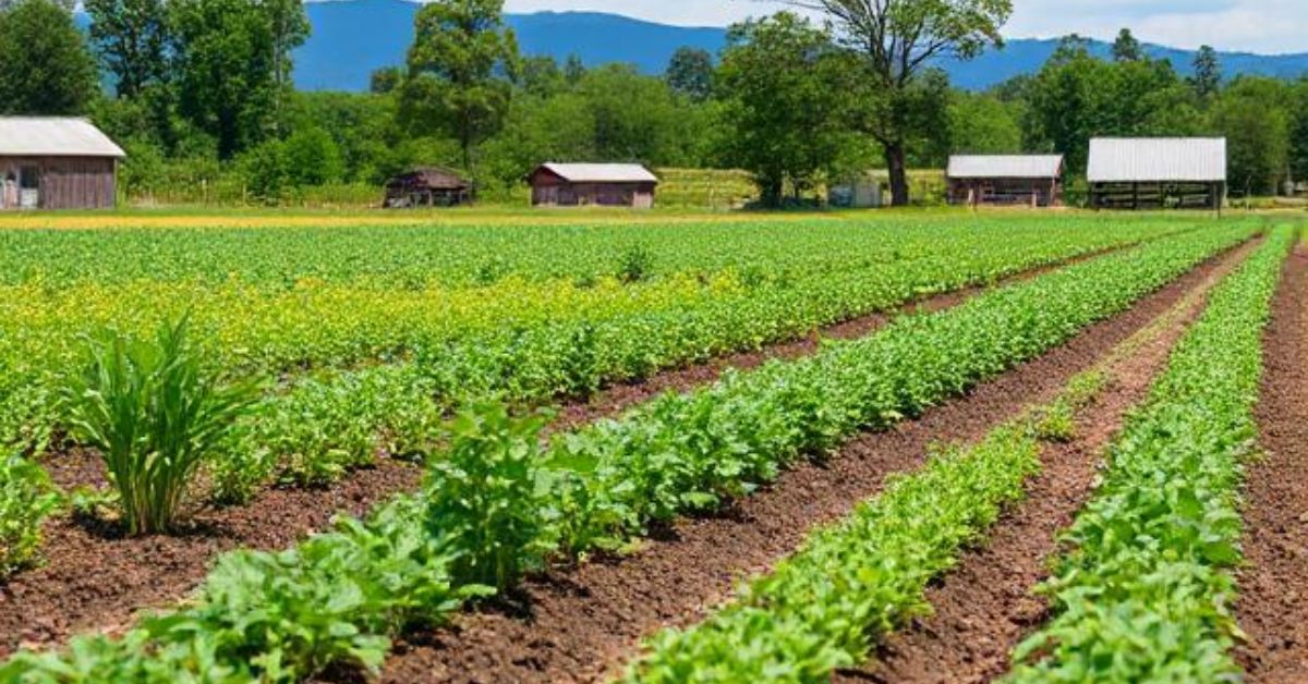 Sustainable Agriculture