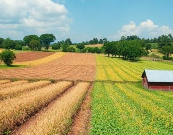 intensive vs extensive agriculture