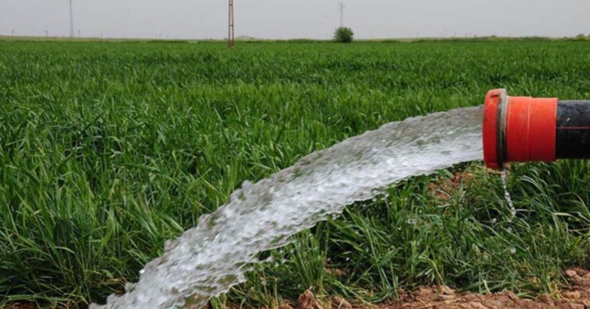 Exploring The Flood Irrigation Pros And Cons Of Systems