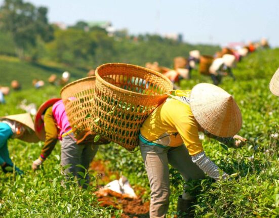 Living The Land A Look At Subsistence Farming Guide