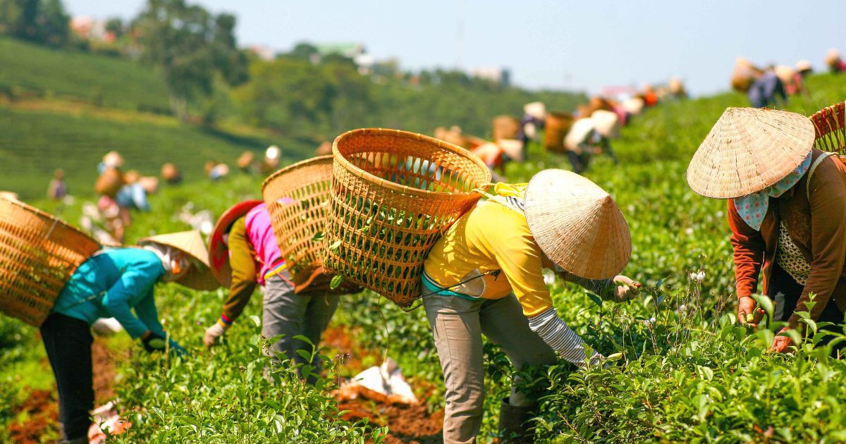 Living The Land A Look At Subsistence Farming Guide