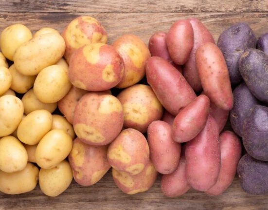 Sweet Potatoes and Irish Potatoes A Tasty Showdown