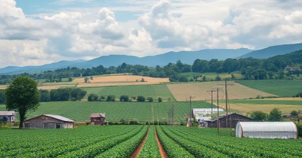 Commercial Farming: Modern Agriculture for a Growing World