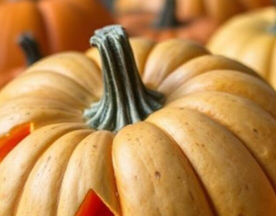 Pumpkins & the Origin of Jack O’Lanterns