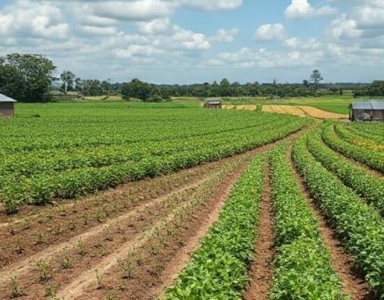 systematic agriculture