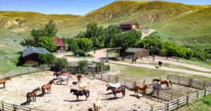 Ranch vs Farm: Key Differences Explained Simply