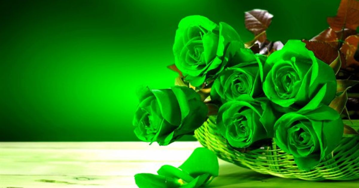 Green Flowers Unique Blooms That Add Fresh Charm