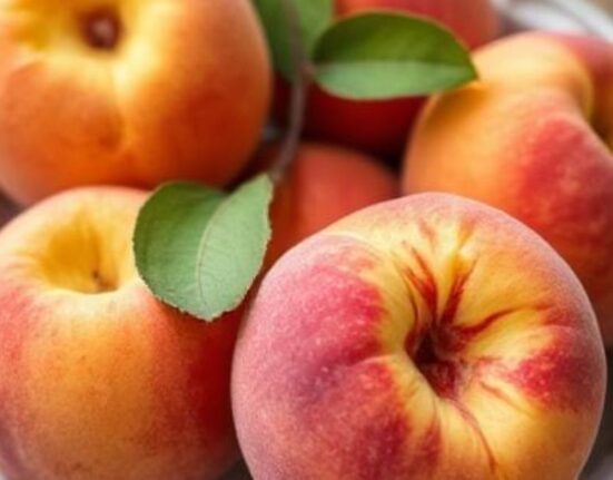 types of peaches