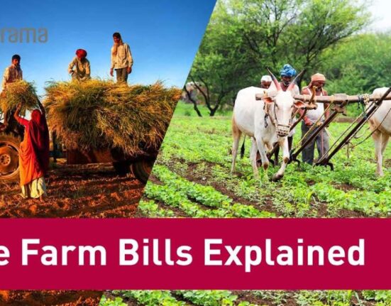 farm bill