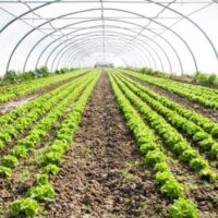 agricultural organic