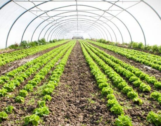 agricultural organic