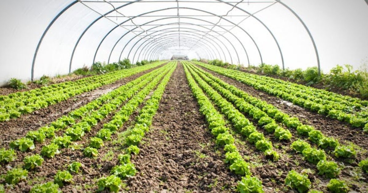 agricultural organic