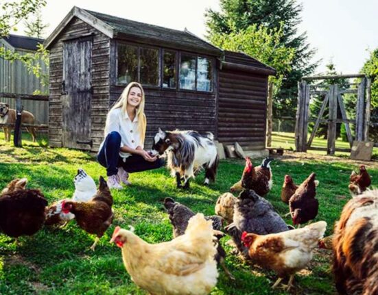 What Is Homesteading A Simple Guide To Self-Sufficiency