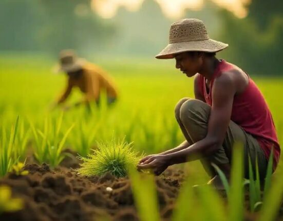 Subsistence Agriculture: Farming for Family Survival Needs