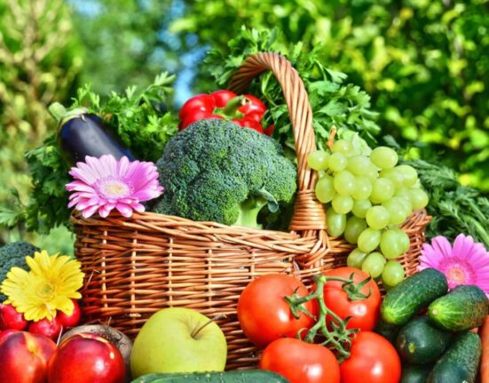 Horticulture And Crop Production An Overview Of Horticultural Crop