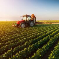 what is agriculture crop science