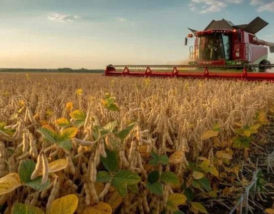 when did american farmers start growing soybeans