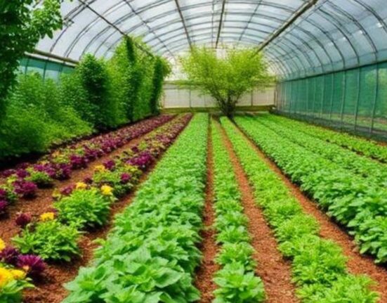 Horticulture vs Agriculture