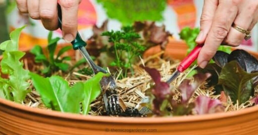 Is Micro Farming Profitable