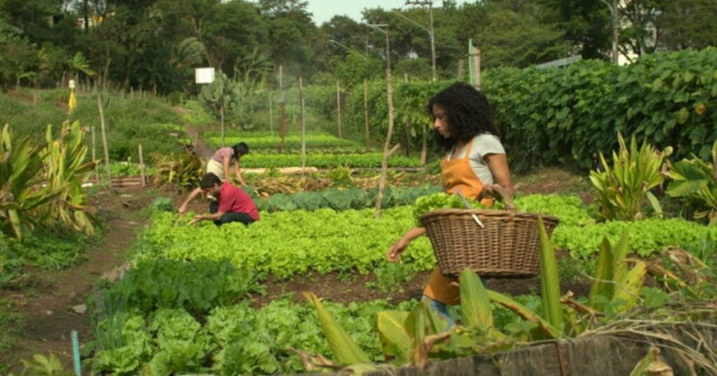 Types of Micro Farming Systems