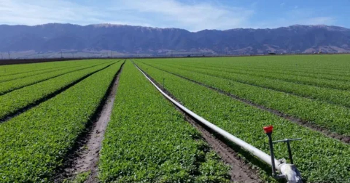 irrigation pipeline