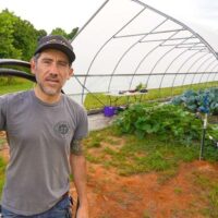 how to use drip tape