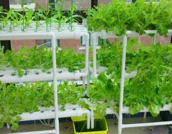 What Is Micro Farming A Complete Snippet-Optimized Guide