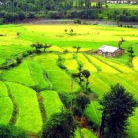 Why Is Terrace Farming Important