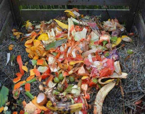 How To Composting Basics