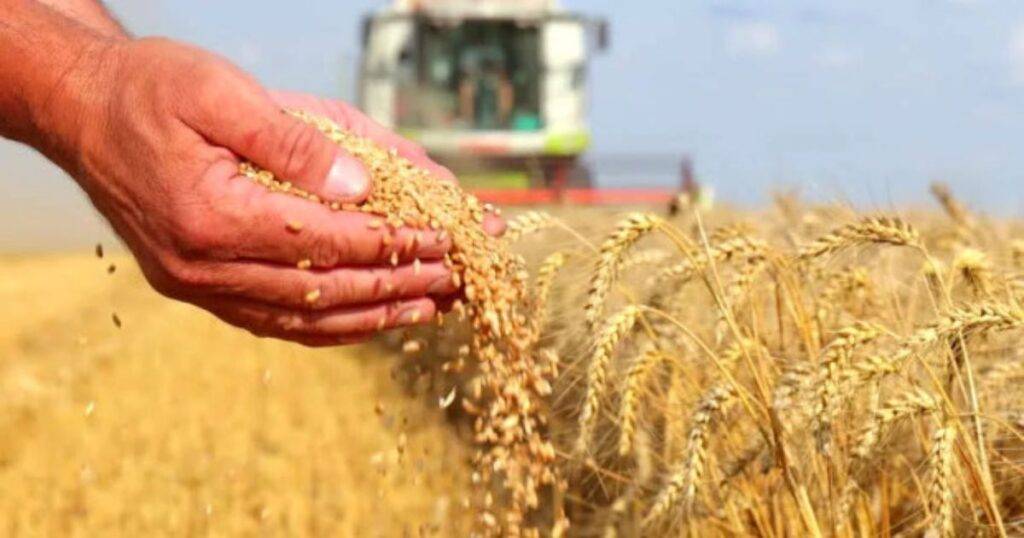 Long-Term Profitability vs Short-Term Wins