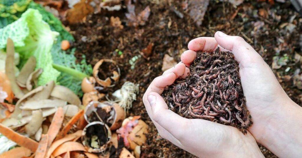 The Ideal Compost Ratio