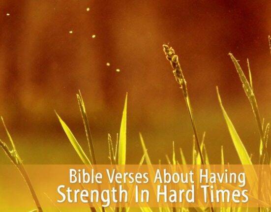bible verses about farming