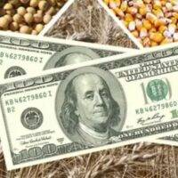 Corn and Soybean Prices