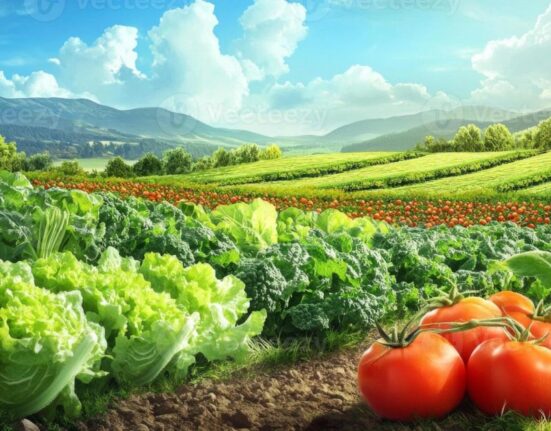 largest farmer in america