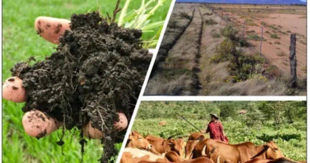 Adaptive Grazing and Regenerative Agriculture