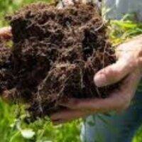 Adaptive Grazing for Soil Health