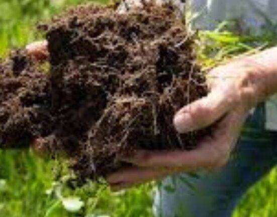 Adaptive Grazing for Soil Health