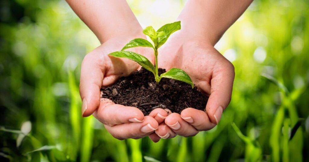 Agricultural Practices That Increase Soil Carbon