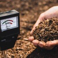 Benefits Of Soil Testing For Healthier Crops And Soil