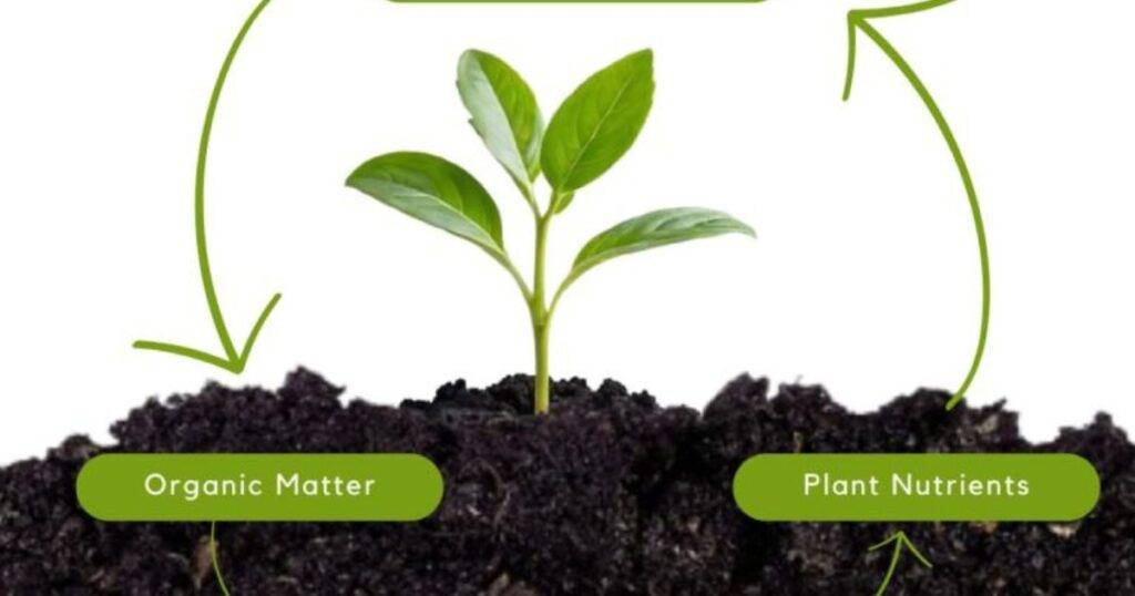 Benefits of Long-Term Soil Health Management