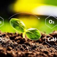 Carbon Impact On Soil Moisture And Soil Health