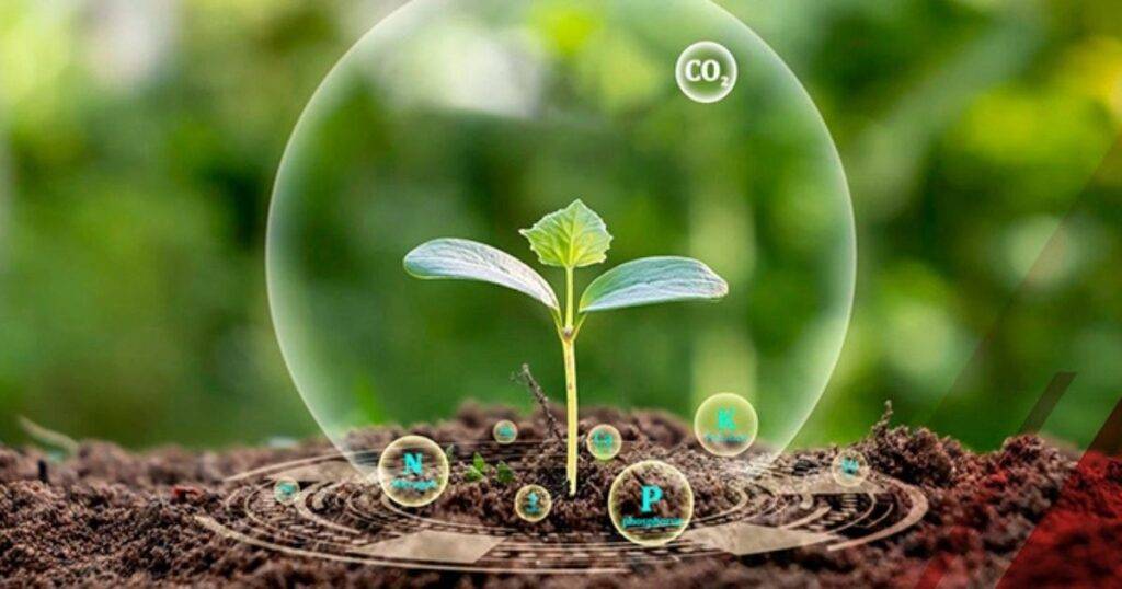 Carbon and Sustainable Farming