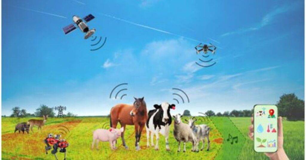 Challenges of Implementing Adaptive Grazing