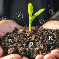 Livestock and Soil Health