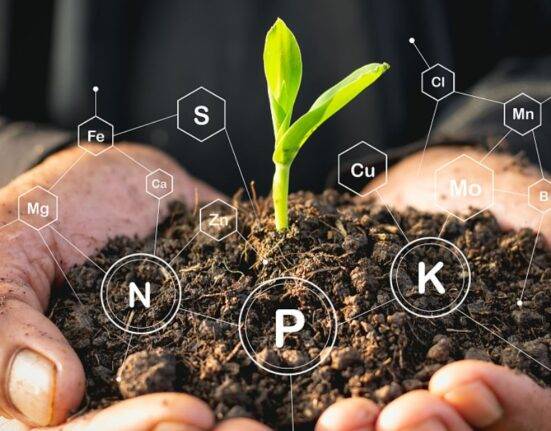 Livestock and Soil Health